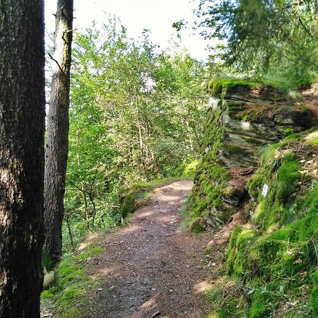 Fewo Well Lägenhet Gladenbach Exteriör bild