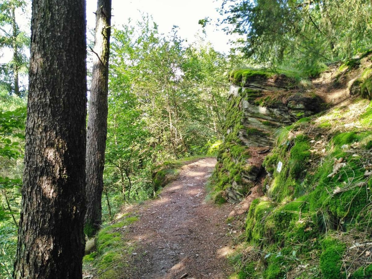 Fewo Well Lägenhet Gladenbach Exteriör bild