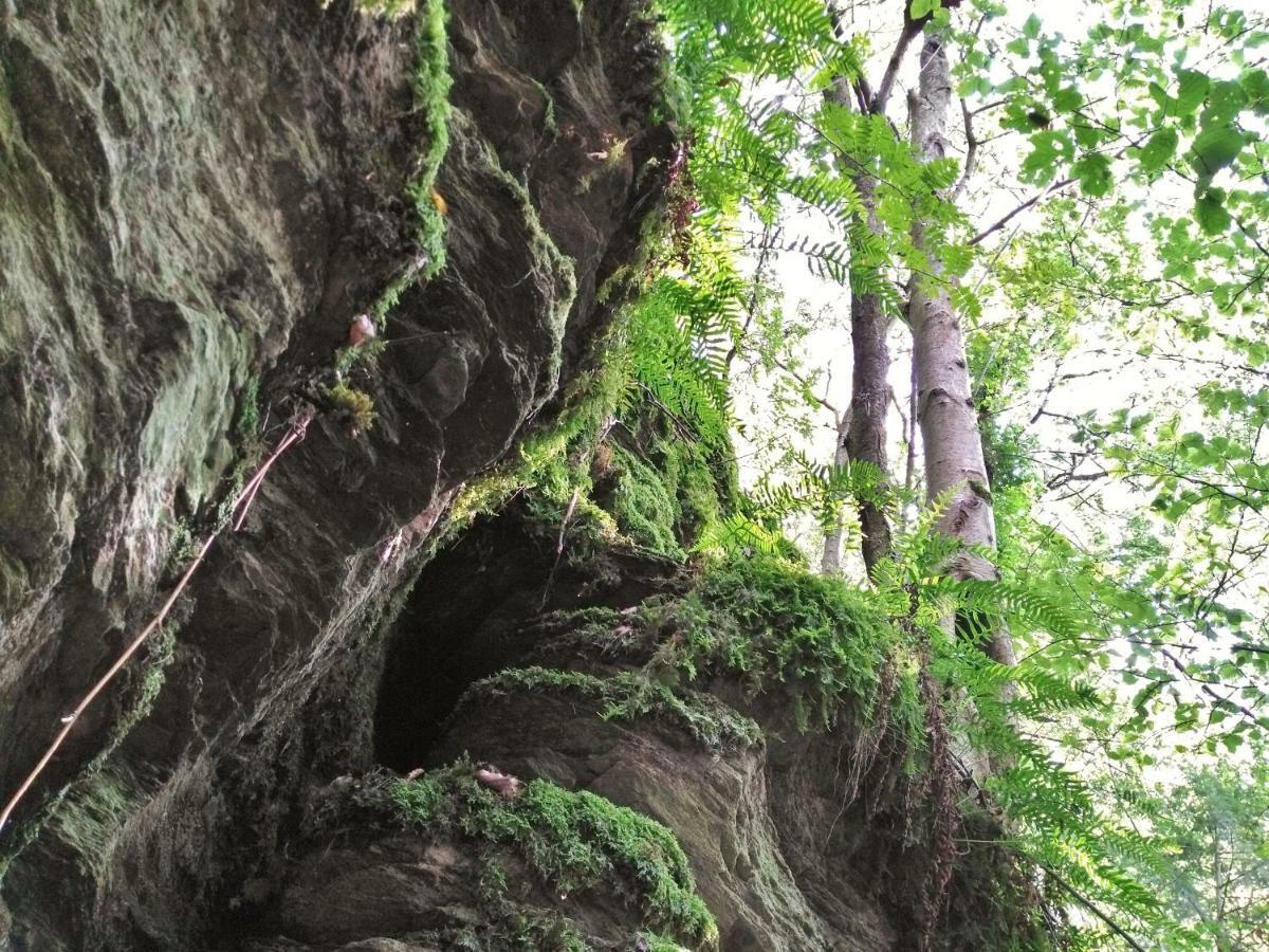 Fewo Well Gladenbach Exteriör bild