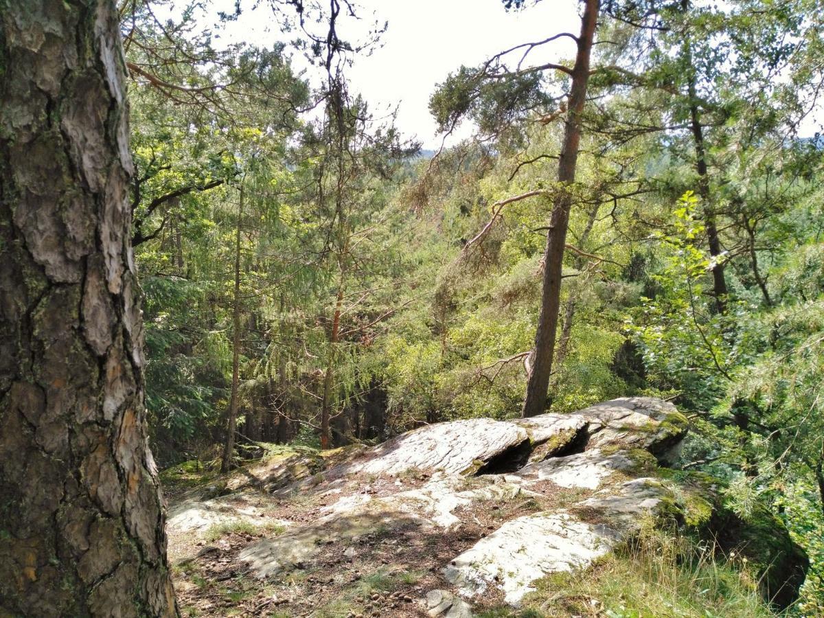 Fewo Well Gladenbach Exteriör bild