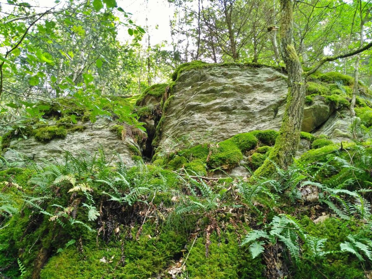 Fewo Well Gladenbach Exteriör bild