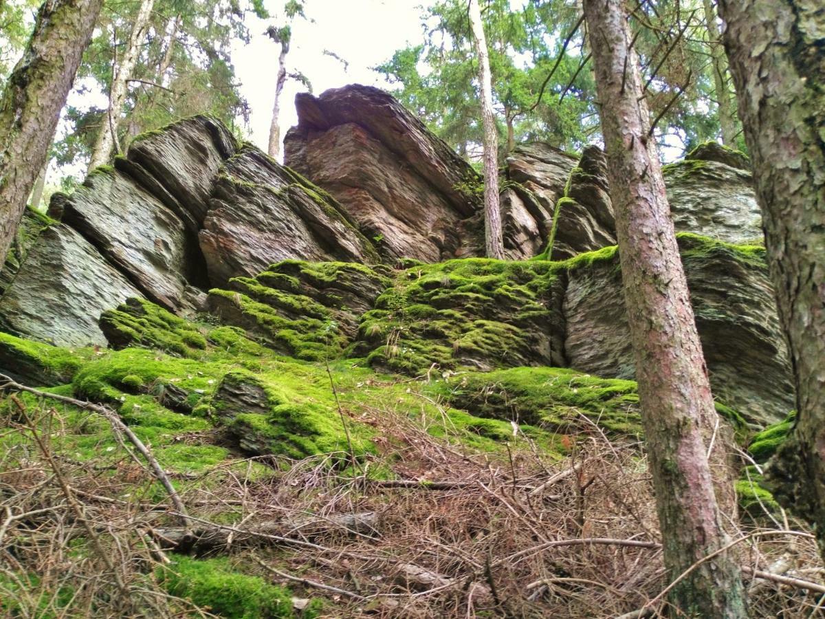 Fewo Well Lägenhet Gladenbach Exteriör bild